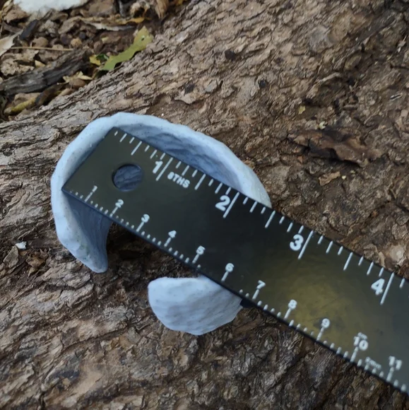 👽 Light Silver 🤍 Bracelet 🩶 Dots🖤 - Picture 6 of 8